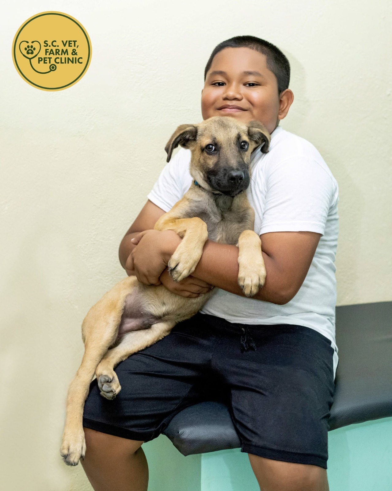 Veterinary checkup